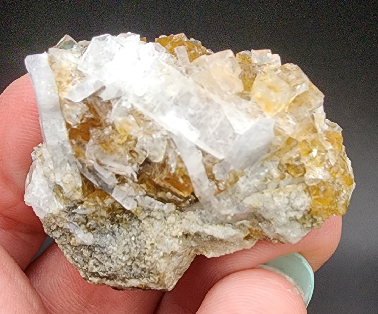 A close-up of a hand holding a cluster of translucent Fluorite and Celestite from Clay Center, Township of Allen, Ottawa County, Ohio, United States. Reminiscent of celestite blades from The Crystalary brand, the crystals exhibit a blend of white and pale yellow hues that contrast against the darker background. The fingers feature greenish painted nails.