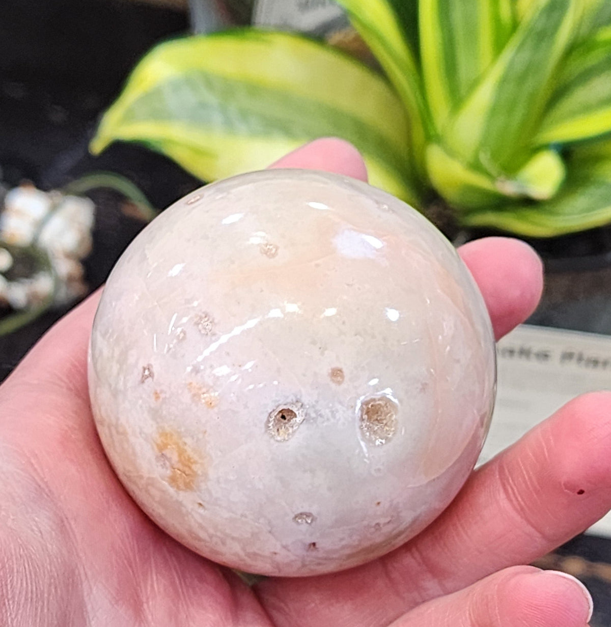 Flower Agate Sphere