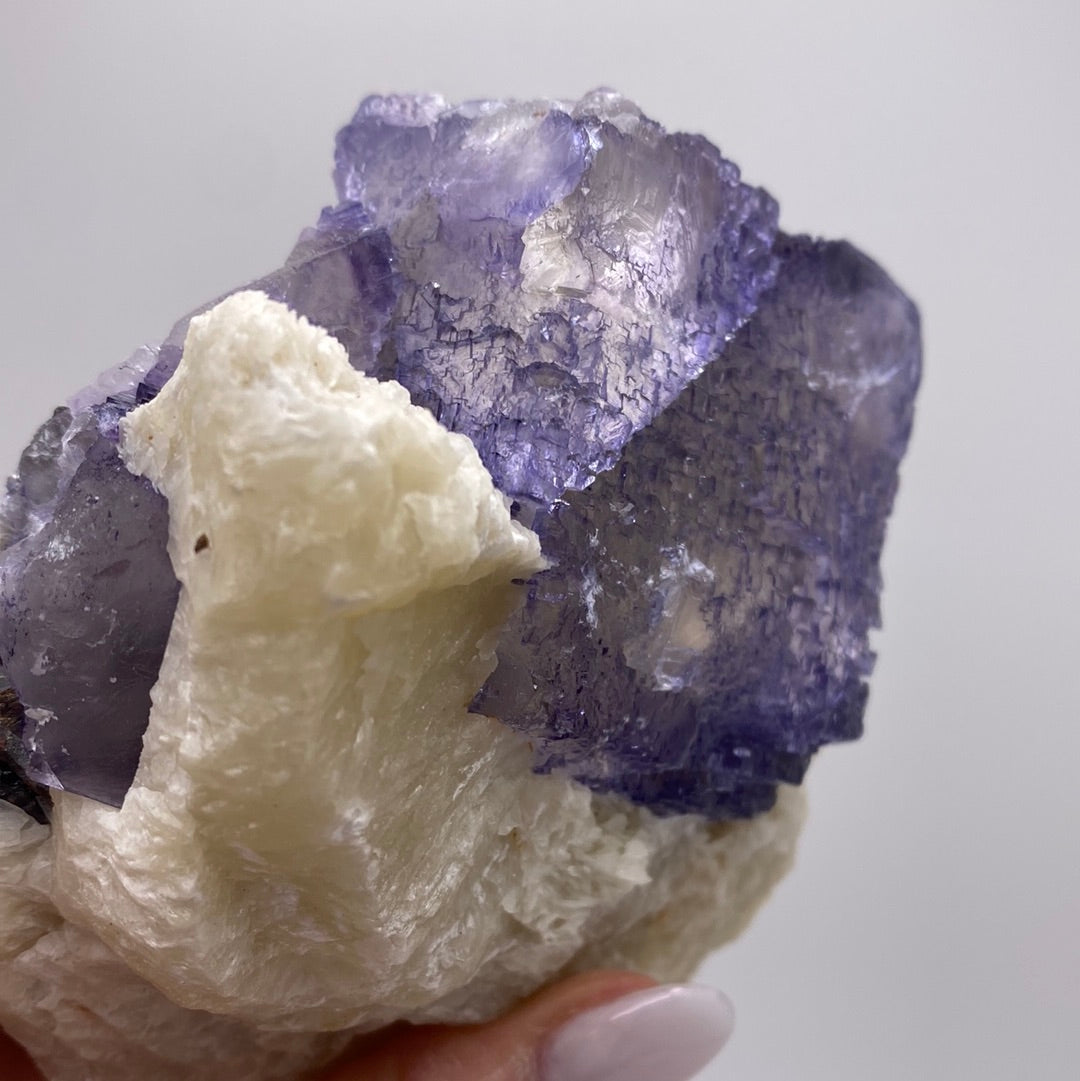 A hand holds a specimen from The Crystalary's Fluorite collection, sourced from the Elmwood Mine in Carthage, Smith County, Tennessee. The piece features a white matrix adorned with purple, translucent fluorite crystal formations. The surface of the purple crystals is uniquely textured and slightly cracked, enhancing their natural geometric patterns against a plain, light gray background.