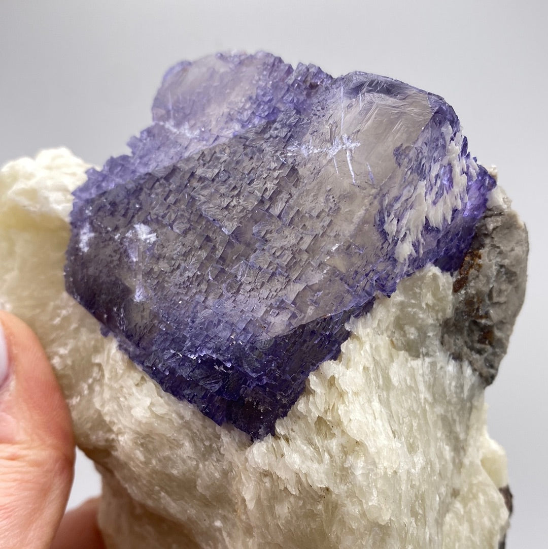 A close-up image of a hand holding a large piece of raw Fluorite crystal from The Crystalary, sourced from the Elmwood Mine in Carthage, Smith County, Tennessee. The crystal features a striking purple hue at the top, transitioning into a white, slightly translucent base. The texture appears rough and natural, with facets catching the light—an exquisite mineral specimen.