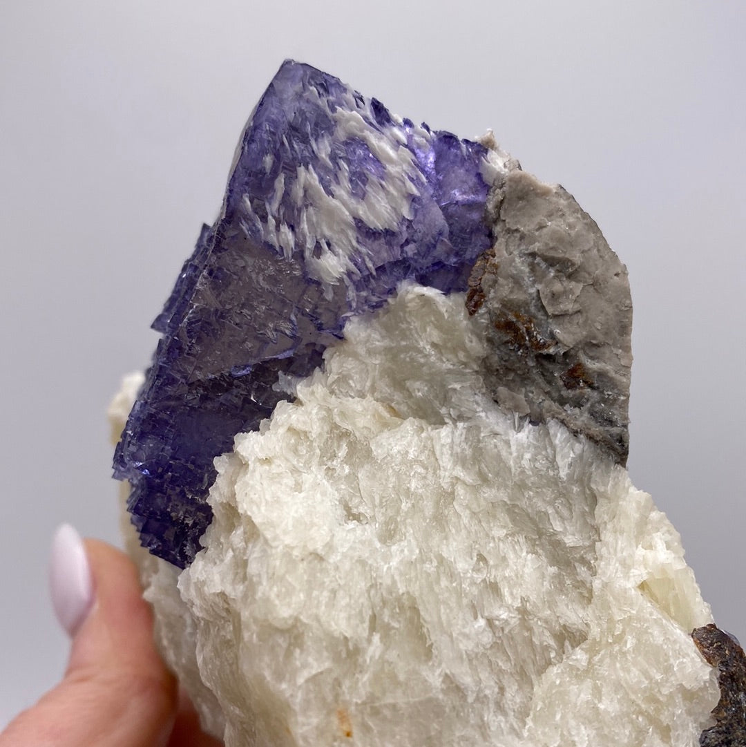 A hand holds a specimen of the Fluorite- Elmwood Mine, Carthage, Smith County, Tennessee, USA by The Crystalary. This deep purple fluorite crystal is embedded in a matrix of white barite and gray minerals. Sourced from the renowned Elmwood Mine in Carthage, Tennessee, the jagged surface of the fluorite contrasts sharply against the smoother white barite and rough gray material.
