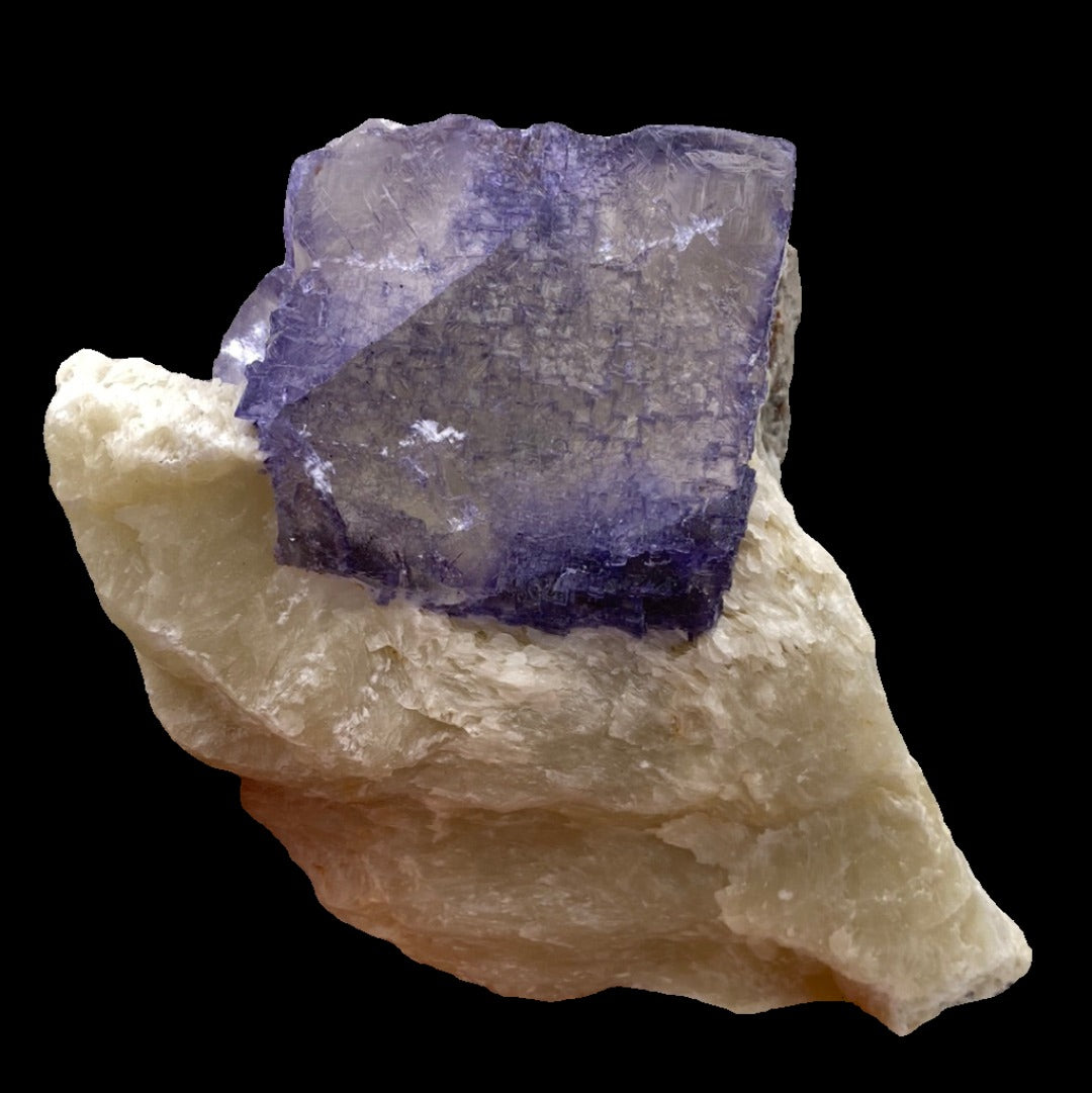 Featuring a prominent purple cubic fluorite crystal embedded in a rough, beige rock matrix, The Crystalary's striking piece of raw mineral from the famed Elmwood Mine in Carthage, Smith County, Tennessee exudes beauty. Set against a black background that accentuates its vivid colors, the fluorite crystal boasts a translucent, glassy appearance with well-defined edges.