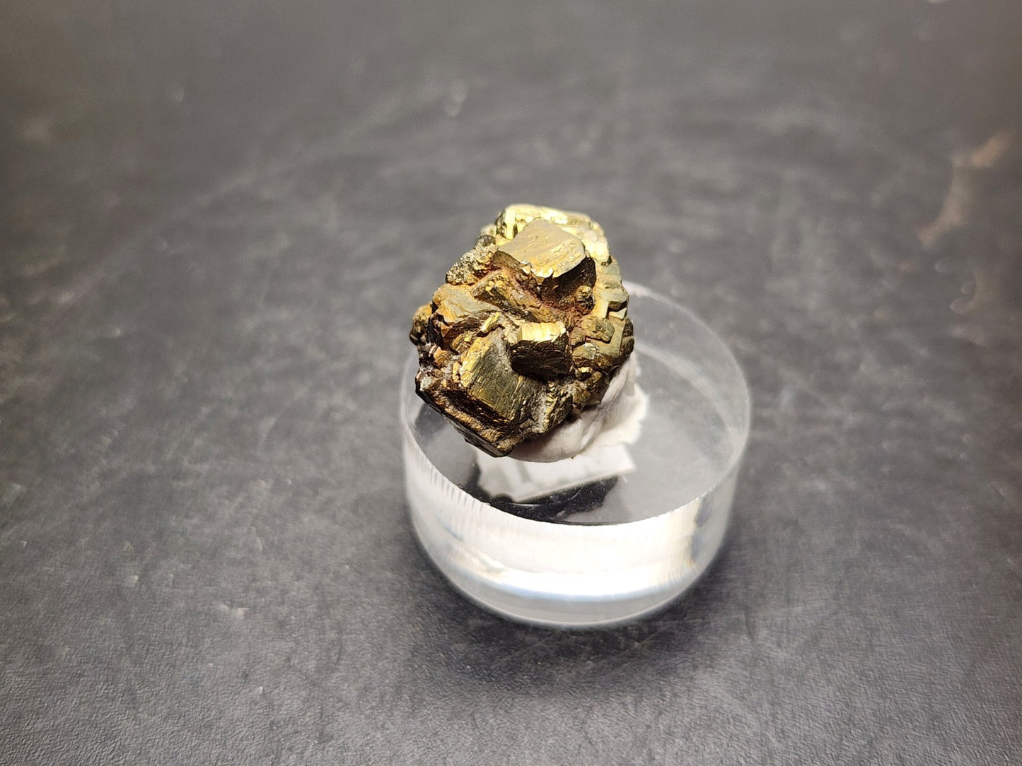 PYRITE- Ambas Aguas, Muro de Aguas, La Rioja, Spain- Miniature