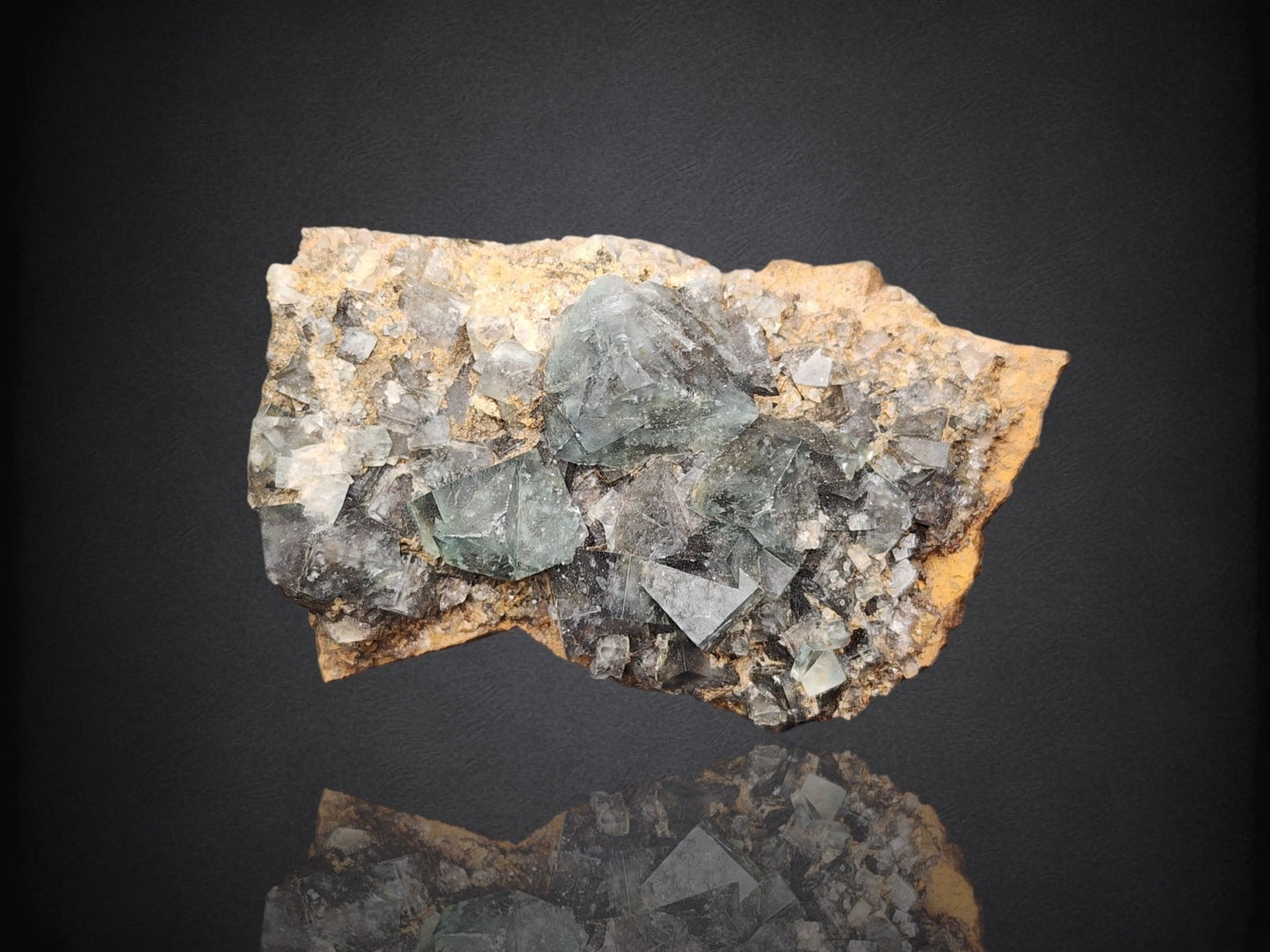 FLUORITE- Hidden Forest Pocket, Diana Marie Mine, Weardale, UK- Cabinet