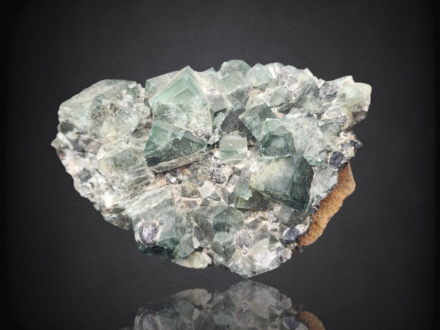 FLUORITE- Hidden Forest Pocket, Diana Marie Mine, Weardale, UK- Cabinet