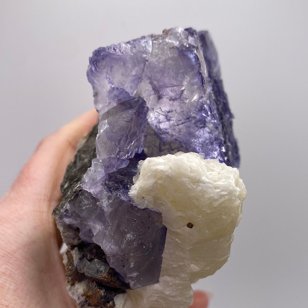 A close-up photo shows a hand holding a rough specimen of Fluorite from the Elmwood Mine in Carthage, Smith County, Tennessee. The specimen, available at The Crystalary, features translucent purple crystal formations and an adjacent area of white crystalline material. The background is a plain, neutral gray.