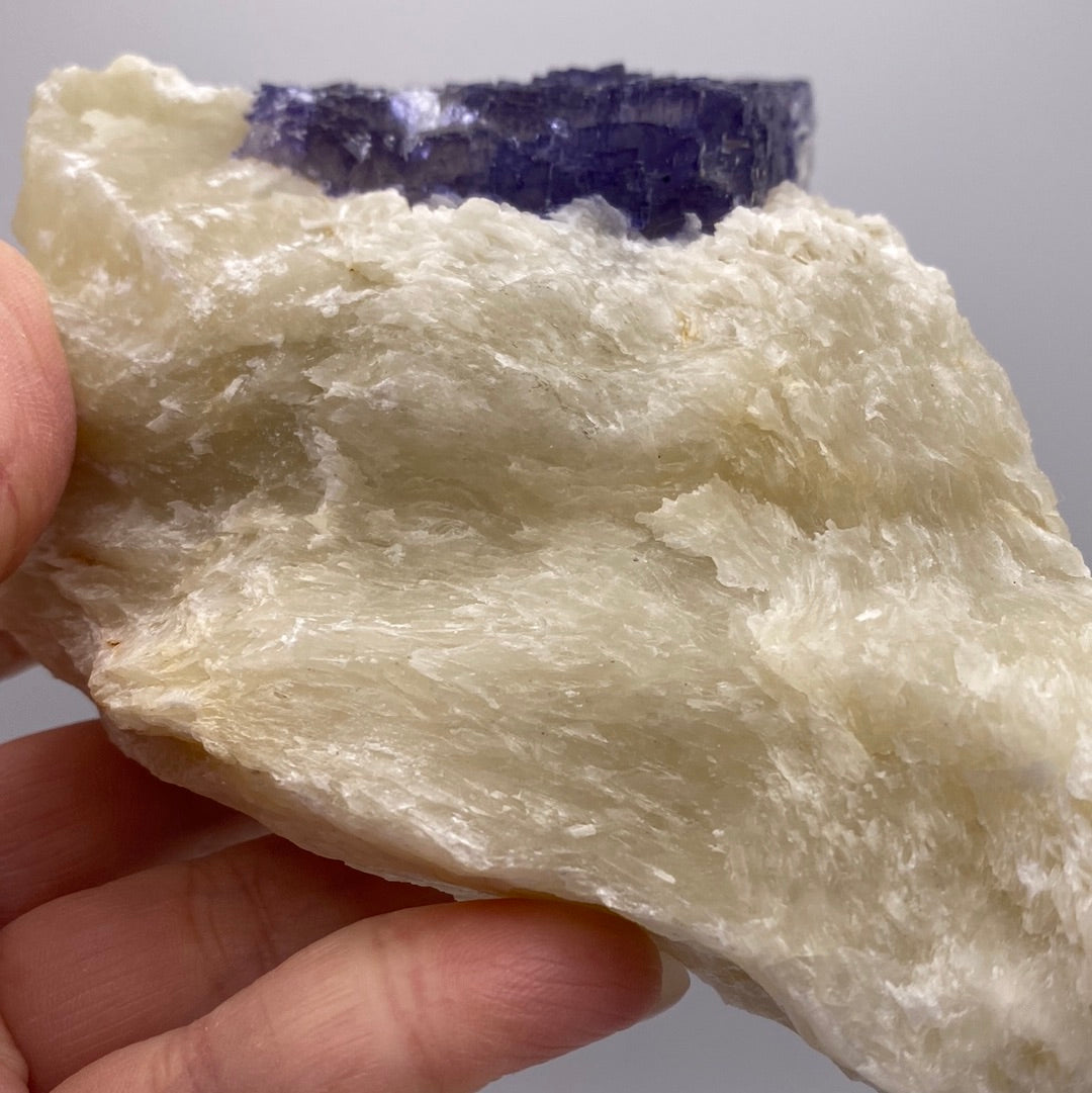 A hand holds a chunk of rough, beige-colored Fluorite from The Crystalary, with a layer of deep purple crystal embedded on top. Sourced from the renowned Elmwood Mine in Carthage, Smith County, Tennessee, USA, this mineral specimen's textured surface and rich color contrast are emphasized against the plain, gray background.