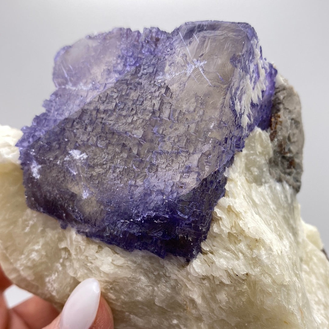 A close-up of a person's hand holding a piece of Fluorite, featuring a large, translucent purple and white crystal formation. The cubic crystal, with its rough and textured surface, was unearthed from the famous Elmwood Mine in Carthage, Smith County, Tennessee. The background is a plain light gray. 
Product by The Crystalary.