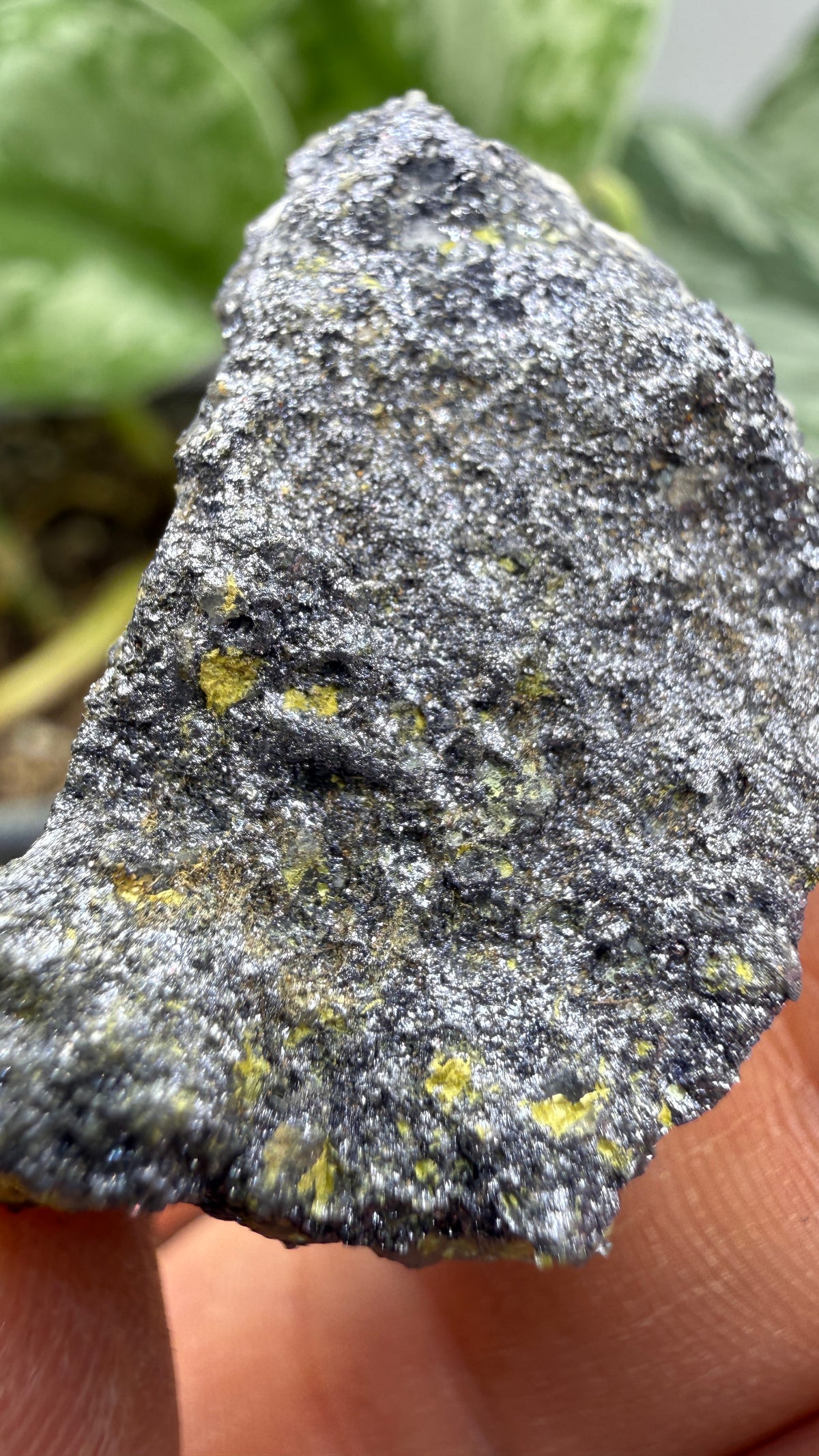 Molybdenite & Ferrimolybdite- Alta, Salt Lake County, Utah, USA