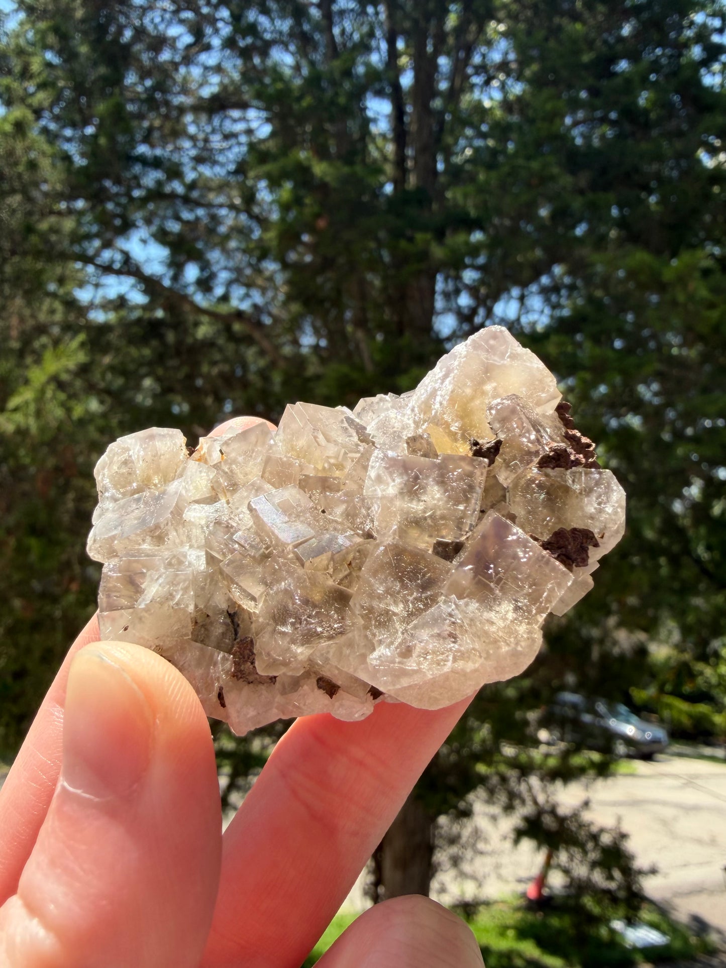 Fluorite - Cromwell Pocket, Greenlaws Mine, Daddry Shield, Stanhope, Co. Durham, England