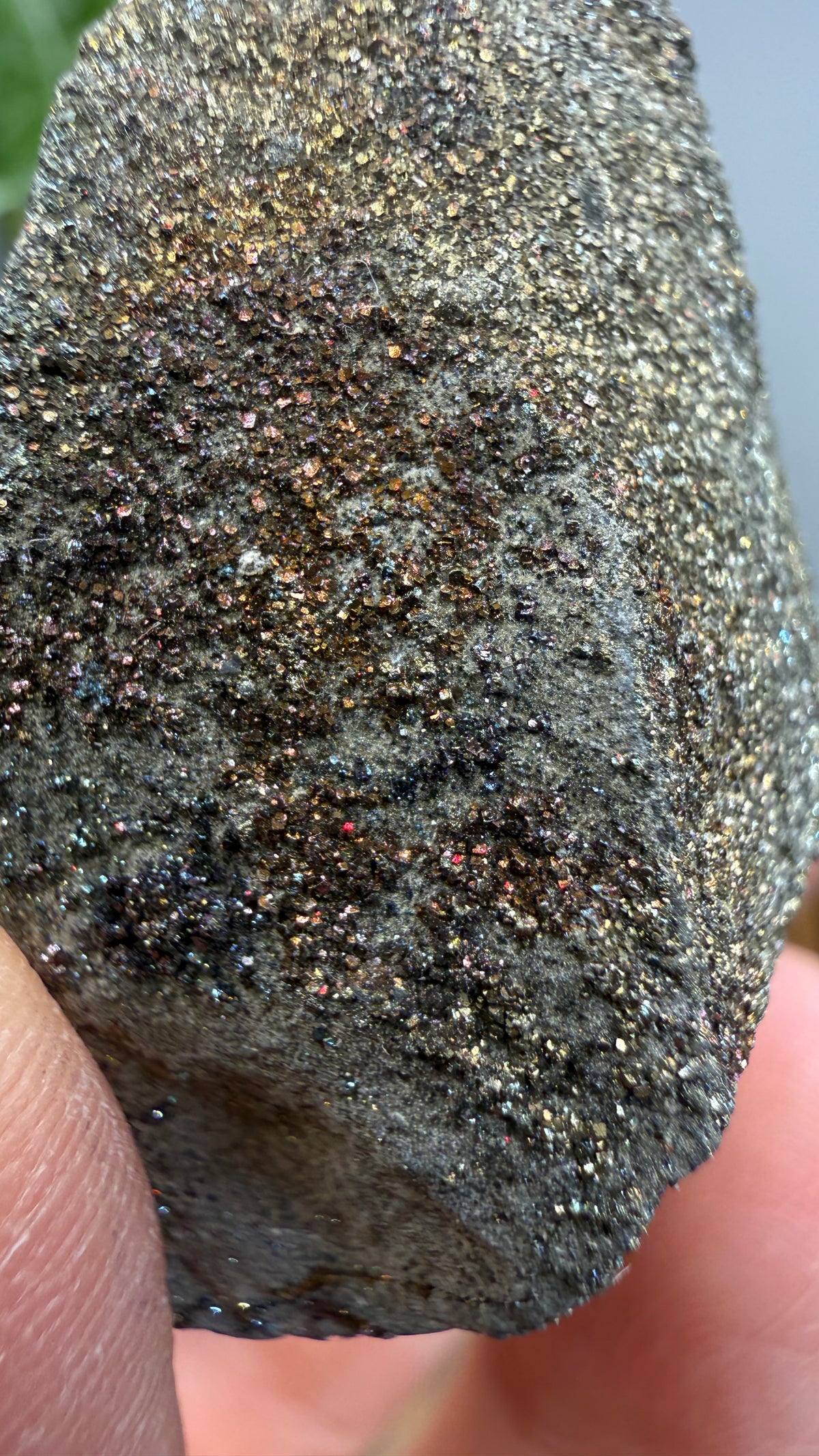Rainbow Pyrite- Volga River, Ulyanovsk Oblast, Russia