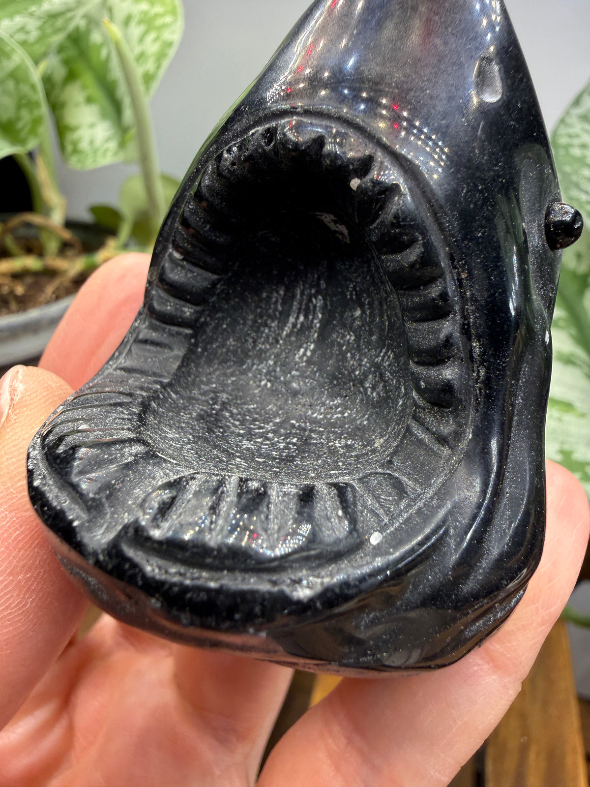 Obsidian Biting Shark- 2.4 inches