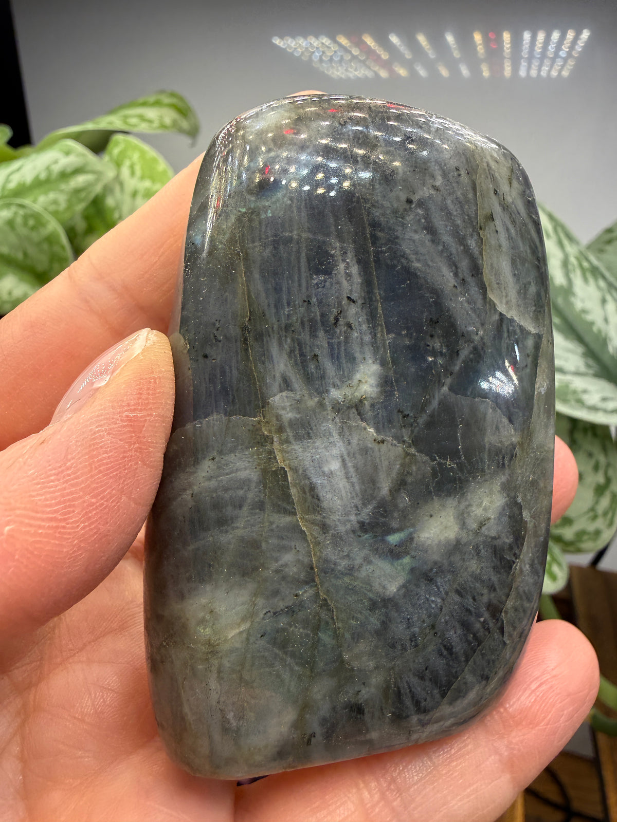 Labradorite Freeform with Blue Flash- 3.0" inches