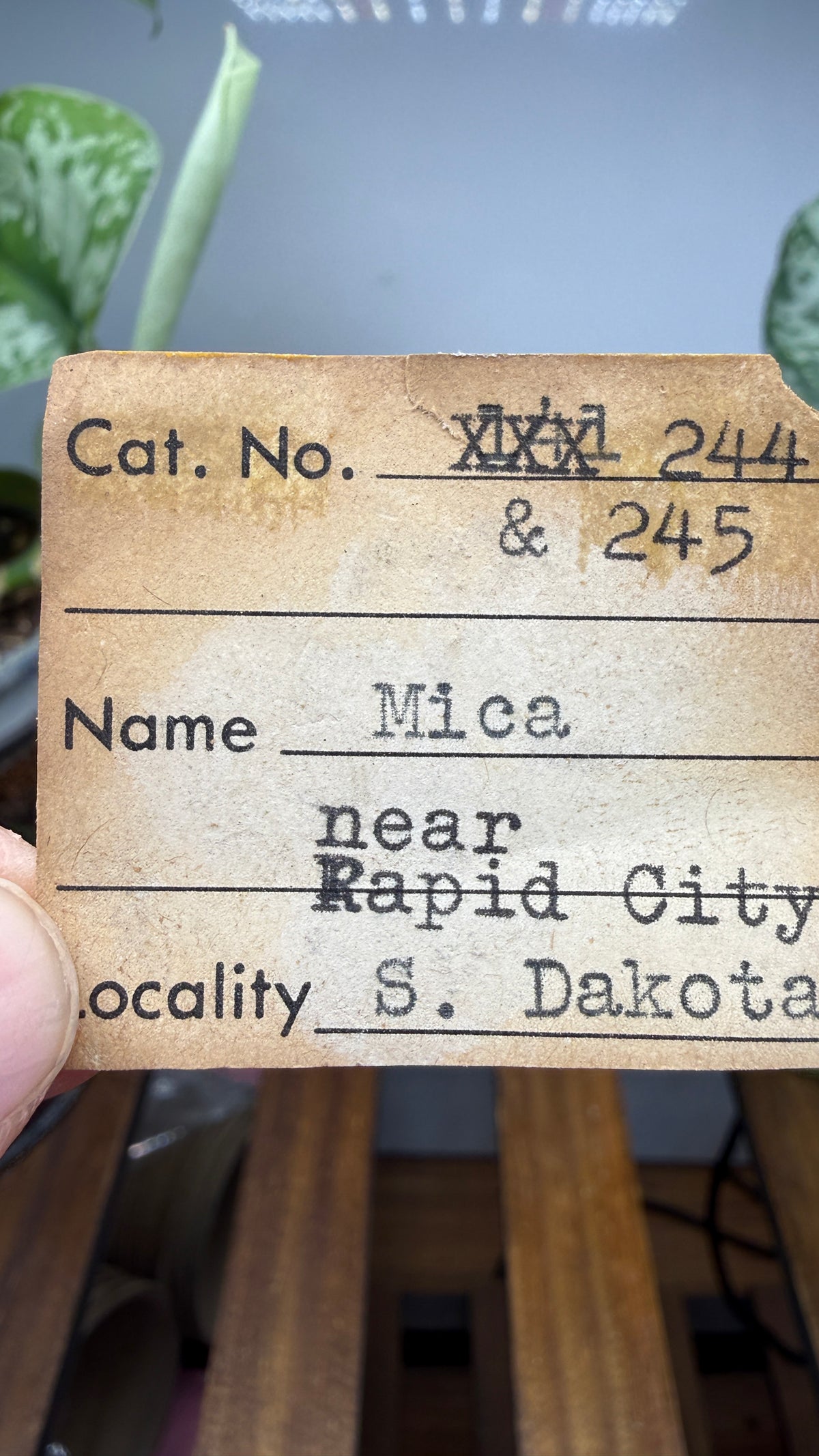 Mica– Near Rapid City, South Dakota — Two-Specimen Set