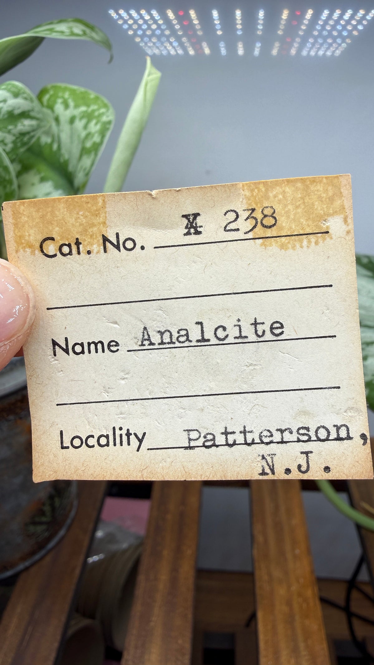 Analcime- Paterson, Passaic County, New Jersey, USA