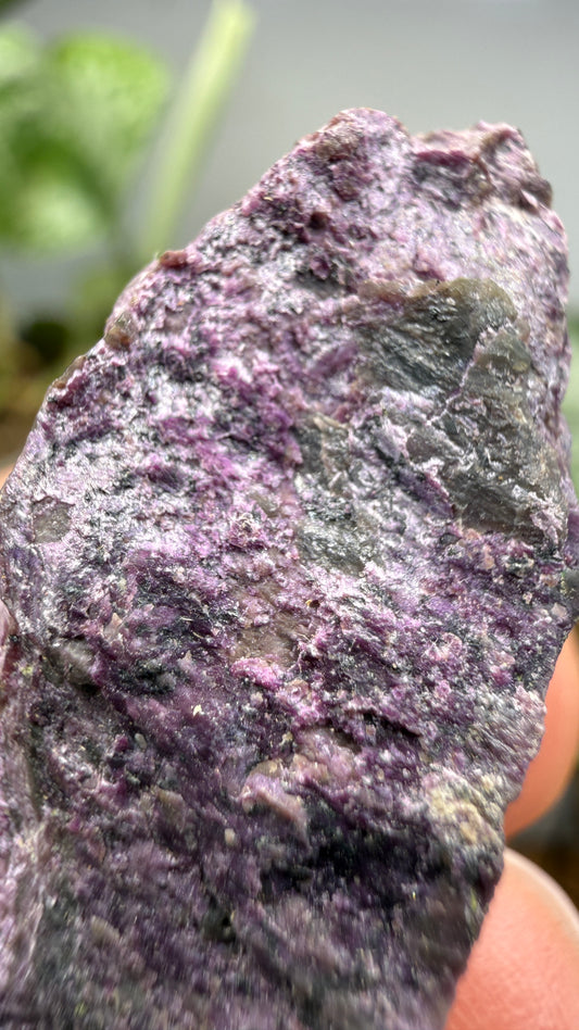 Stichtite on Serpentine- Barberton District, Mpumalanga, South Africa