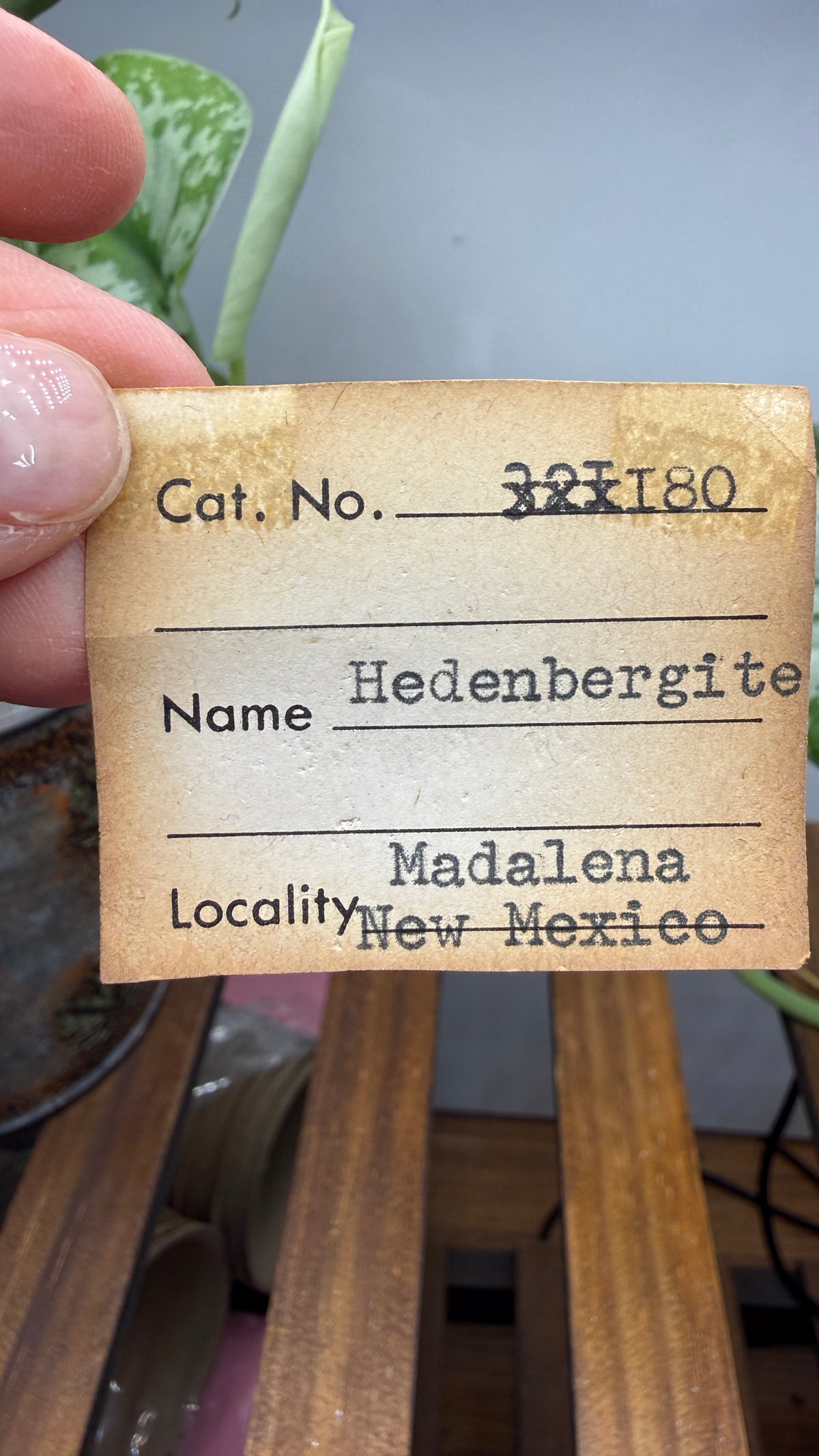 Hedenbergite- Magdalena Mining District, Socorro County, New Mexico, USA