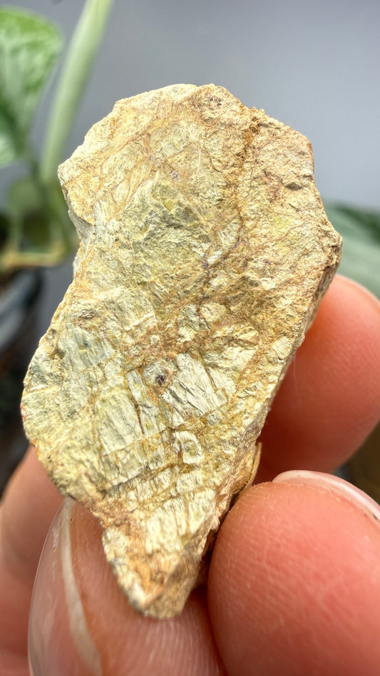Bismutite- White Picacho Mining District, Yavapai County, Arizona, USA