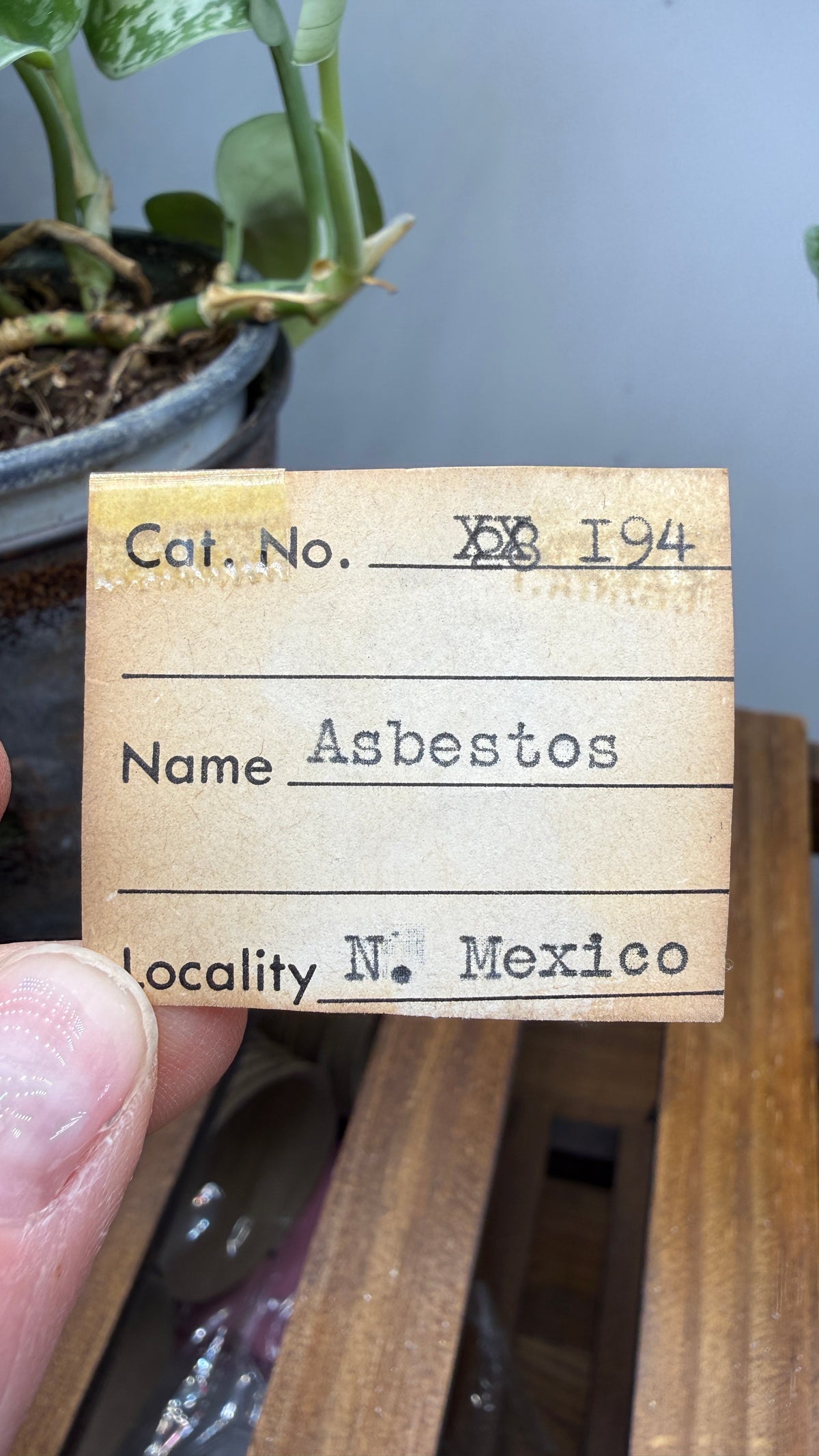 Asbestos (Amphibole Group)- New Mexico, USA
