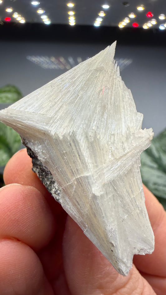 Pectolite- California, USA