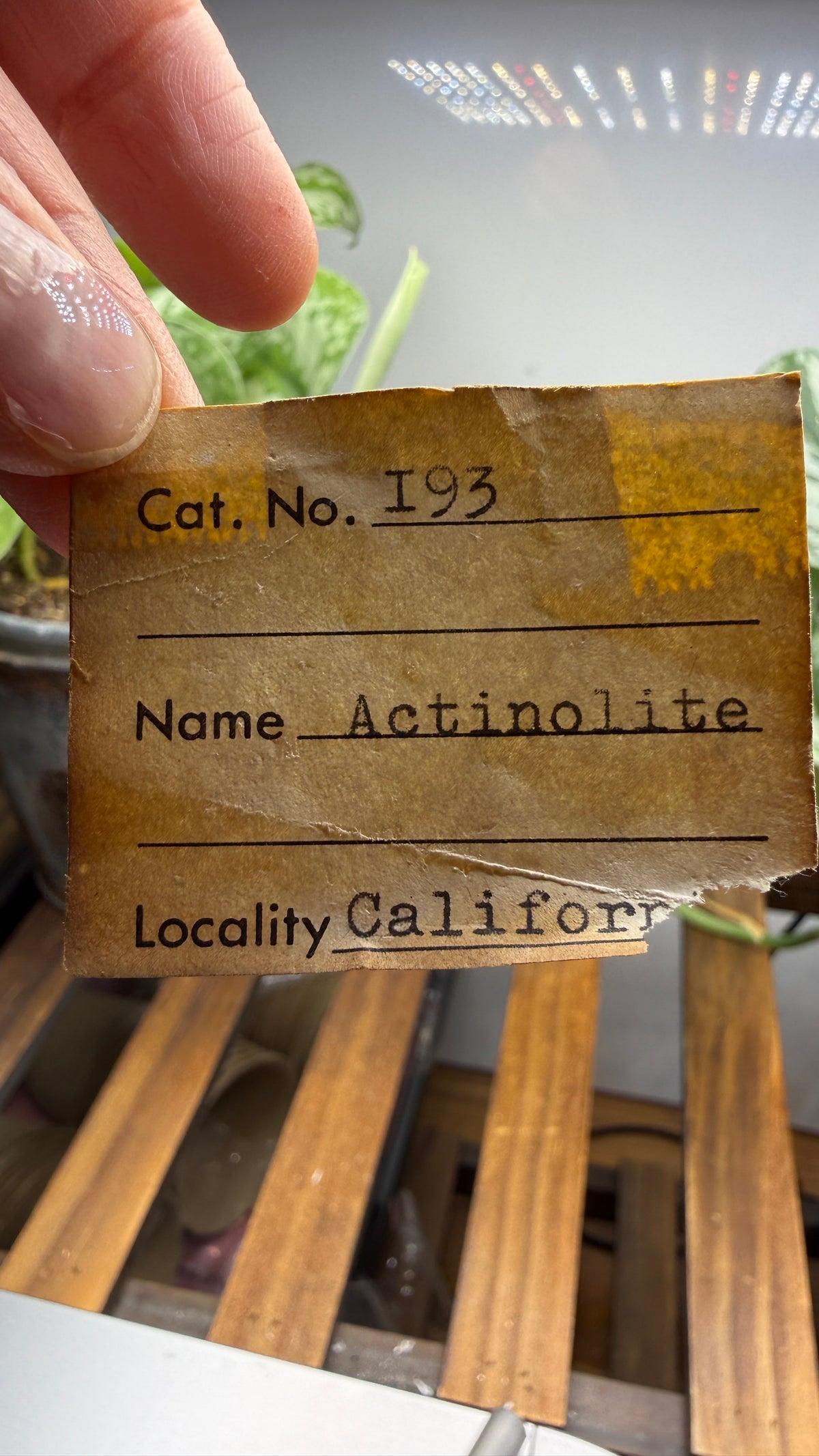 Actinolite with Quartz- Grizzly Ridge, Plumas County, California, USA