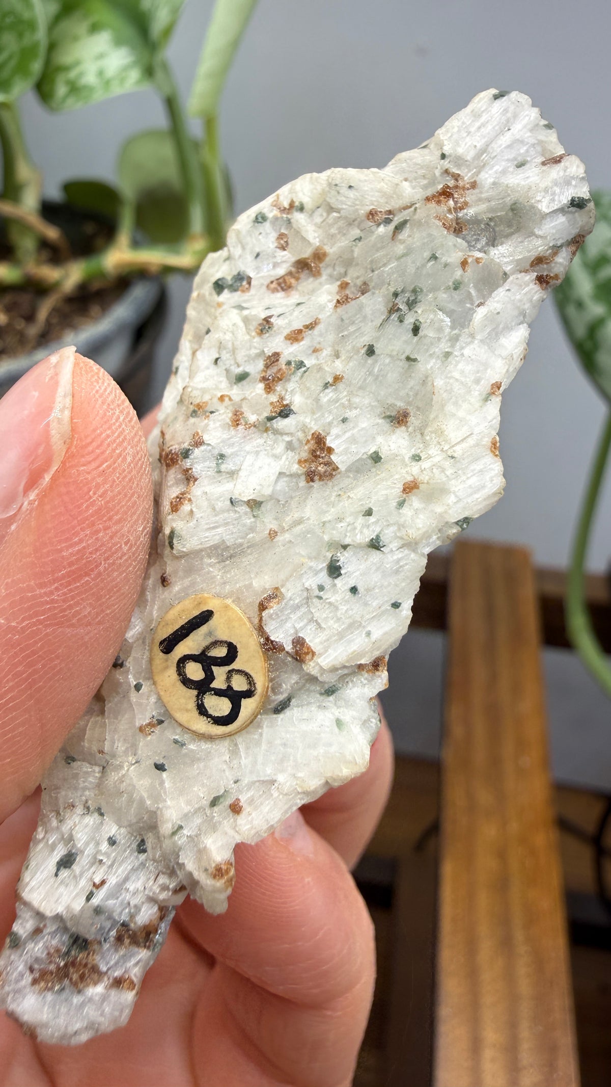 Wollastonite, Garnet, Diopside- Willsboro, Essex County, New York, USA