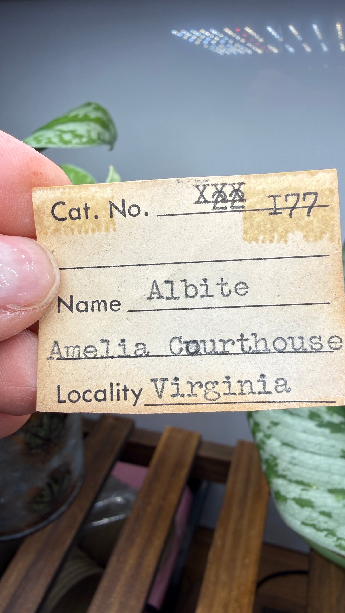 Albite- Amelia Court House, Amelia County, Virginia, USA
