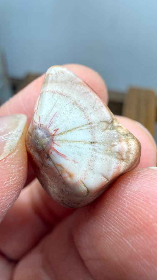 Thomsonite- North Shore of Lake Superior, Minnesota, USA
