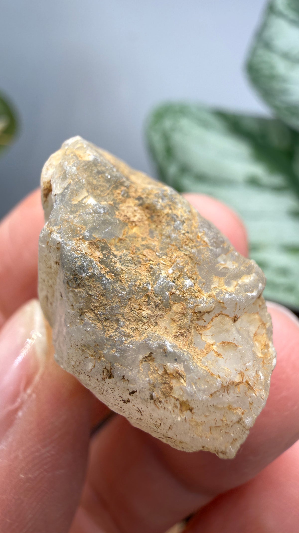 Natrolite- Clear Creek Deposits, Idria Peak, San Benito County, California, USA