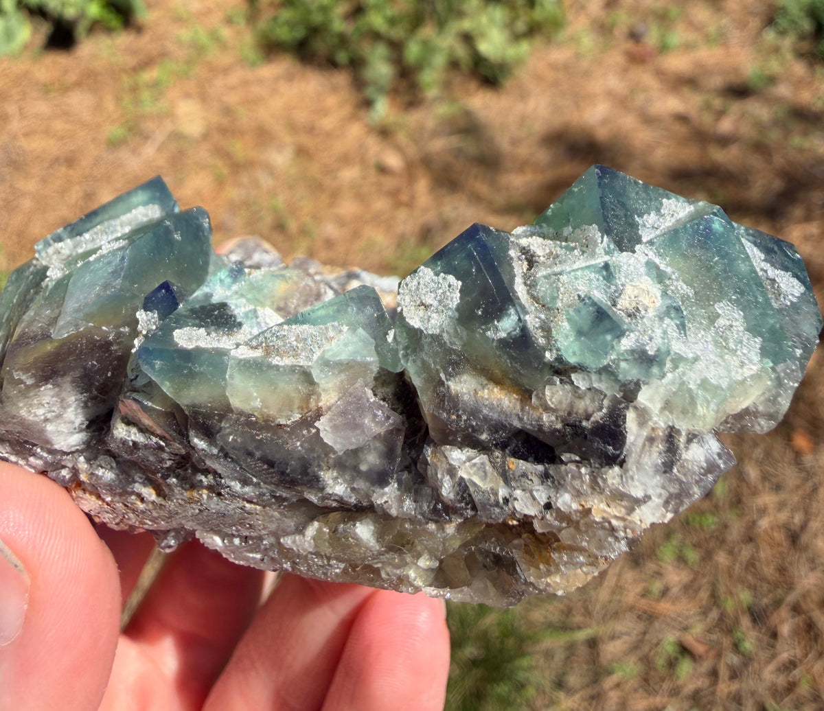 Fluorite - Northern Lights Pocket, Diana Maria Mine, Frosterley, Weardale, Co. Durham, England