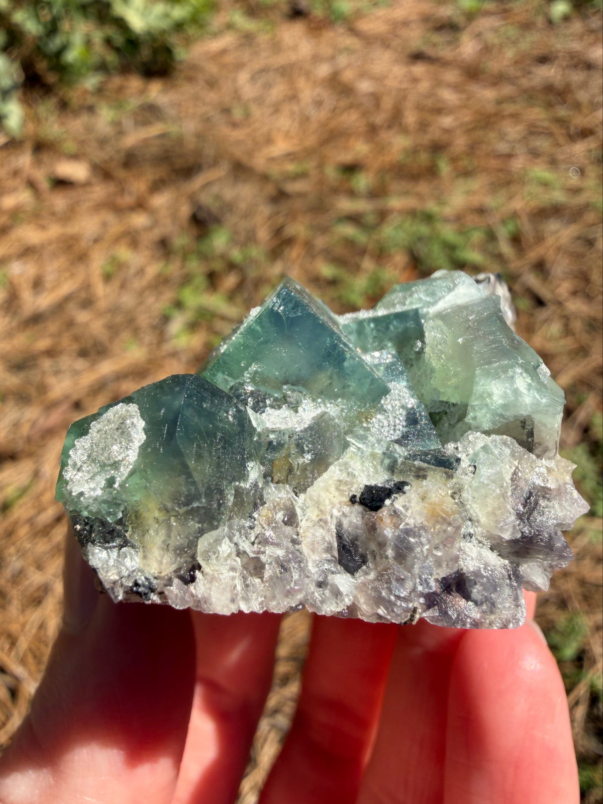Fluorite - River Catcher Vein, Northern Lights Pocket, Diana Maria Mine, Frosterley, Weardale, Co. Durham, England