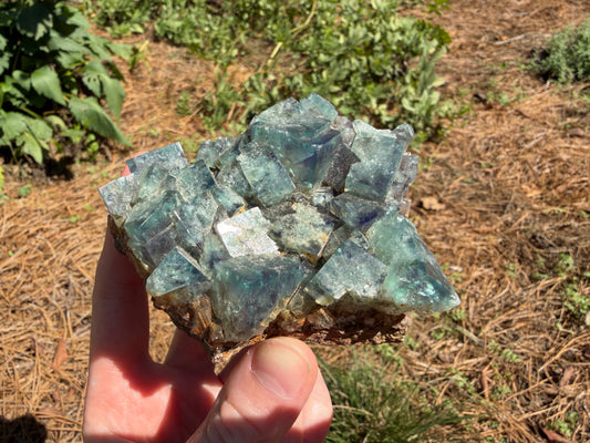 Fluorite - Hidden Forest Pocket, Diana Maria Mine, Frosterley, Weardale, Co. Durham, England