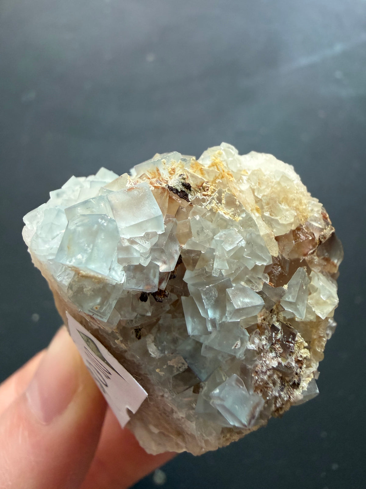 Fluorite - Fishstick Prospect, Bingham, Hansonburg District, Socorro County, New Mexico, USA