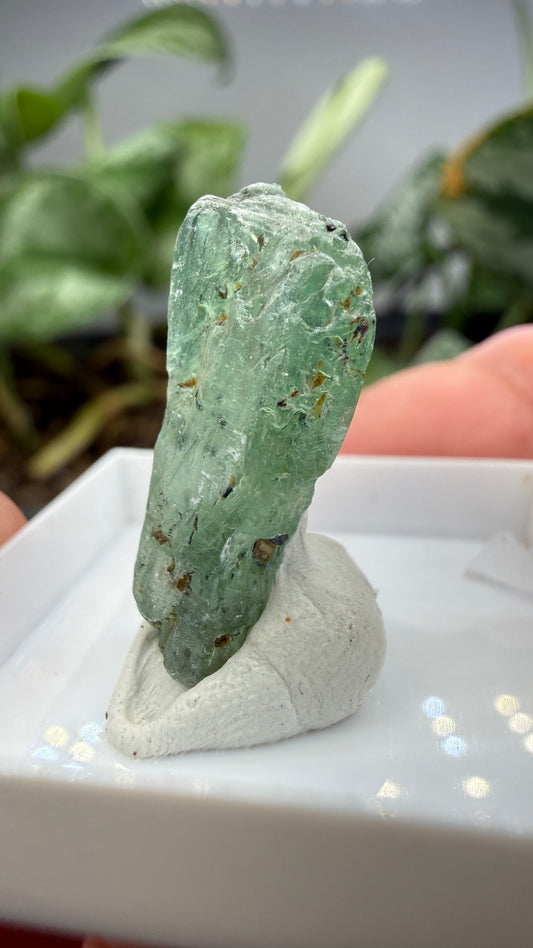 Green Kyanite- Morogoro, Uluguru Mountains, Morogoro Region, Tanzania