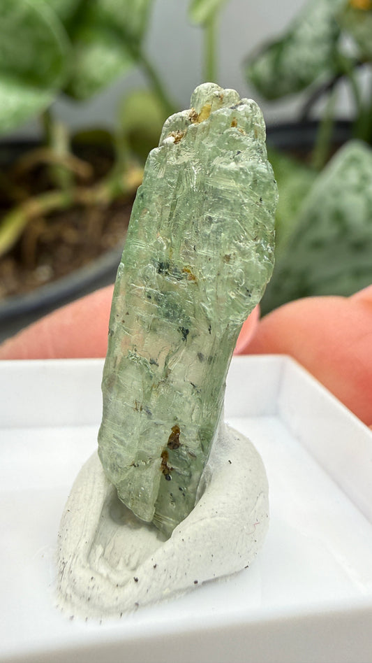 Green Kyanite- Morogoro, Uluguru Mountains, Morogoro Region, Tanzania