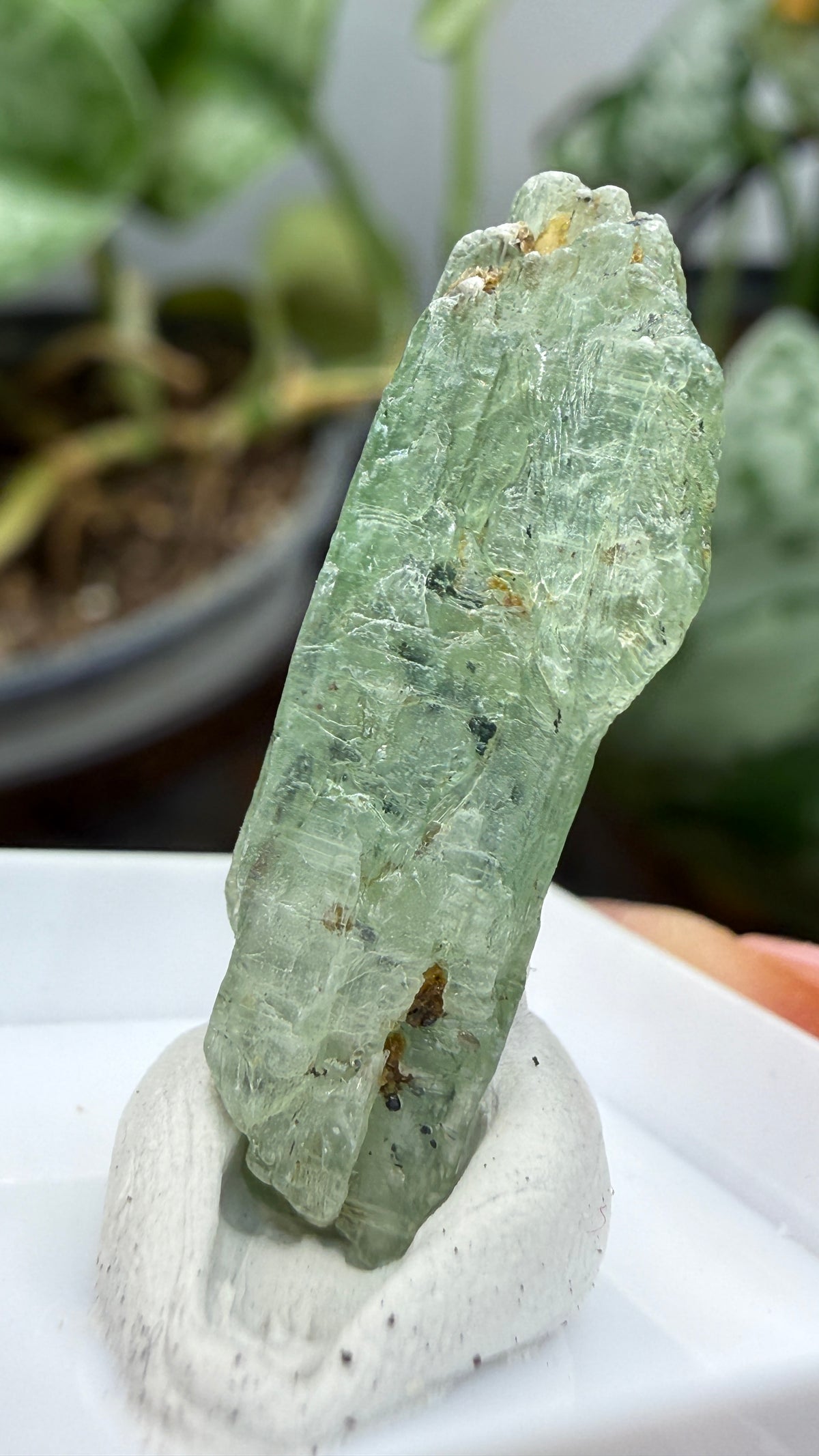 Green Kyanite- Morogoro, Uluguru Mountains, Morogoro Region, Tanzania