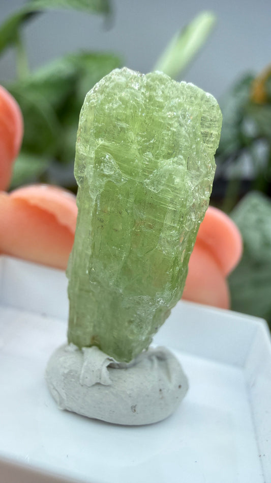 Green Kyanite- Morogoro, Uluguru Mountains, Morogoro Region, Tanzania
