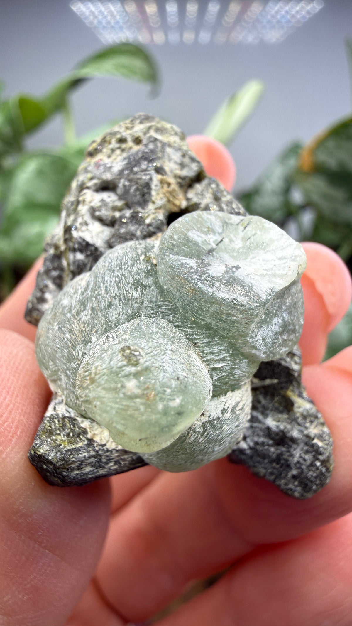 Botryoidal Prehnite with Epidote- Bosso Mine, Bendoukou, Kayes Region, Mali