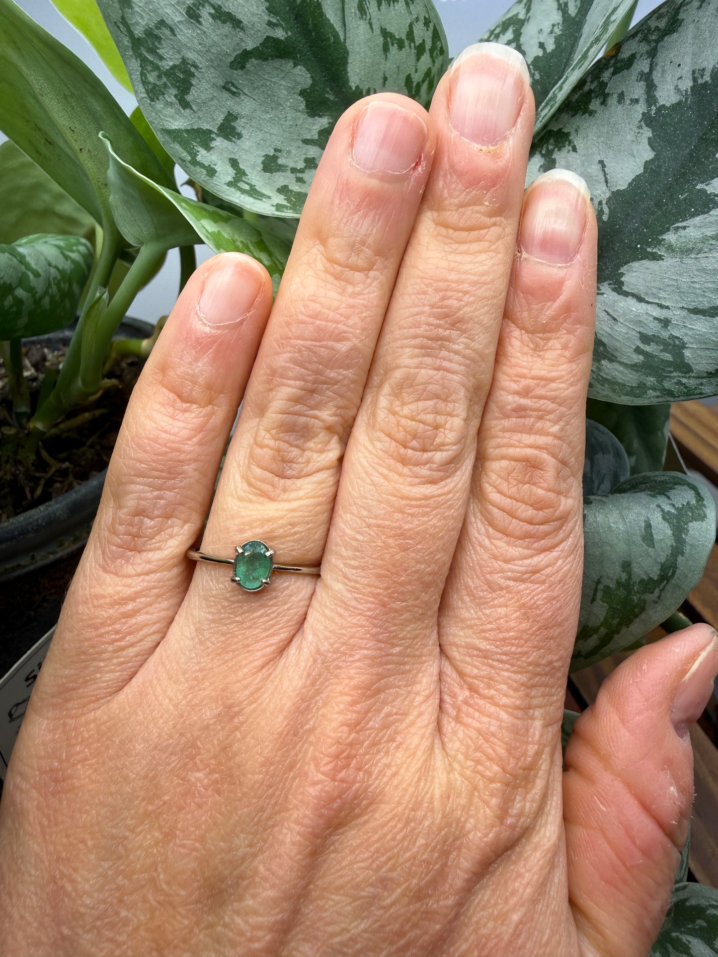 Faceted Emerald Adjustable Ring – .925 Sterling Silver