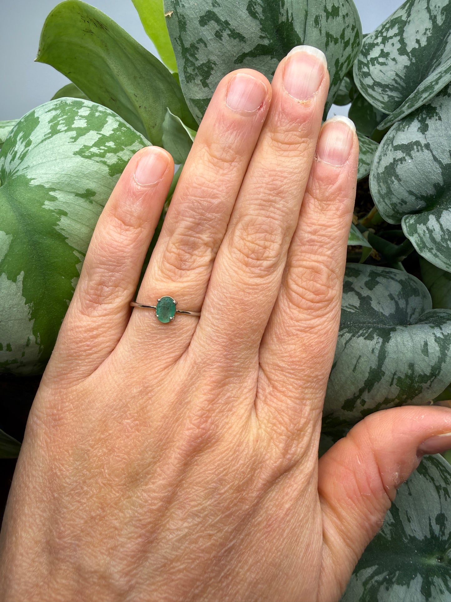 Faceted Emerald Adjustable Ring – .925 Sterling Silver