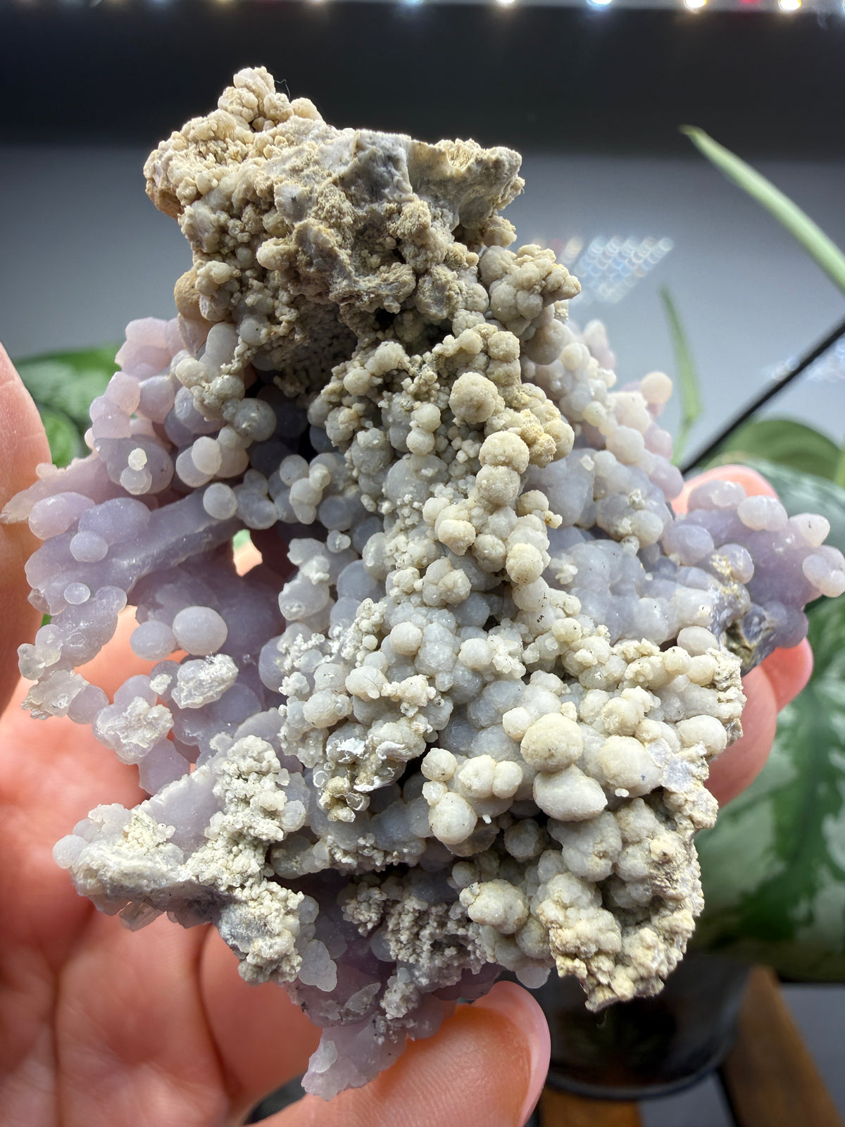 Grape Agate (Quartz var. Amethyst)- Mamuju Regency, West Sulawesi Province, Indonesia