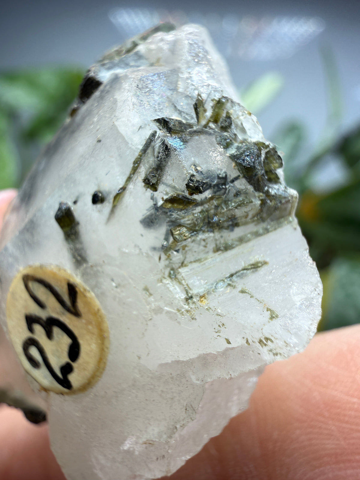 Tourmaline (Green) in Quartz- Brazil