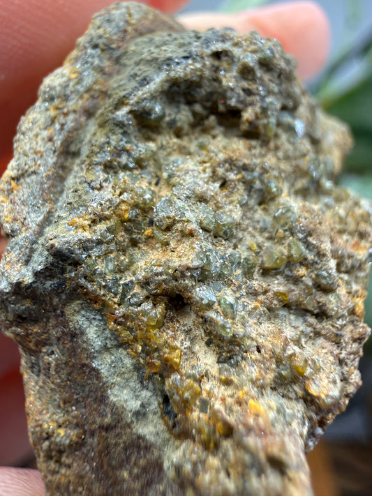 Zircon on Matrix- Minas Gerais, Brazil