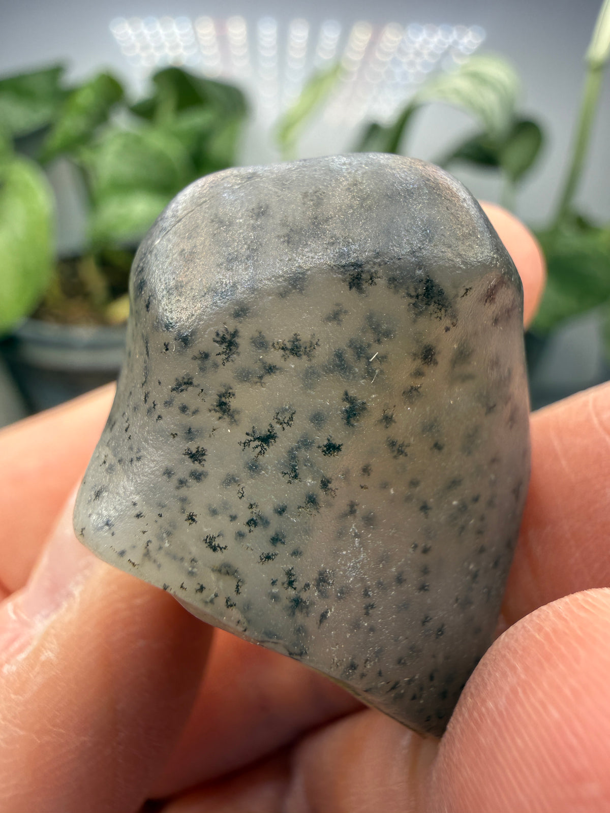 Moss Agate (Dendritic Chalcedony)- Montana, USA
