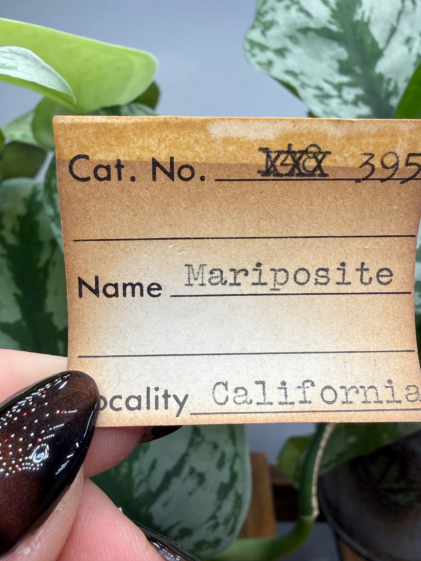 Mariposite Slab- Mariposa County, California, USA