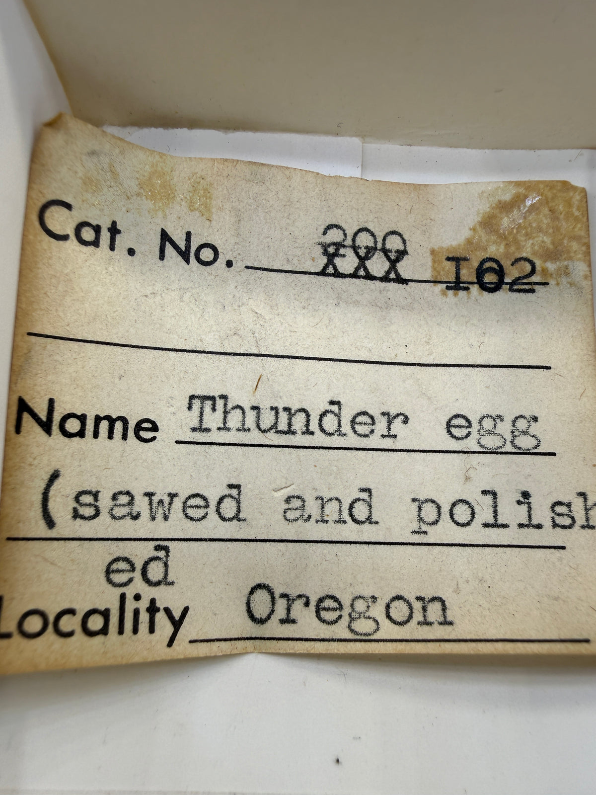 Thunder Egg Agate (Sawed and Polished)- Oregon, USA