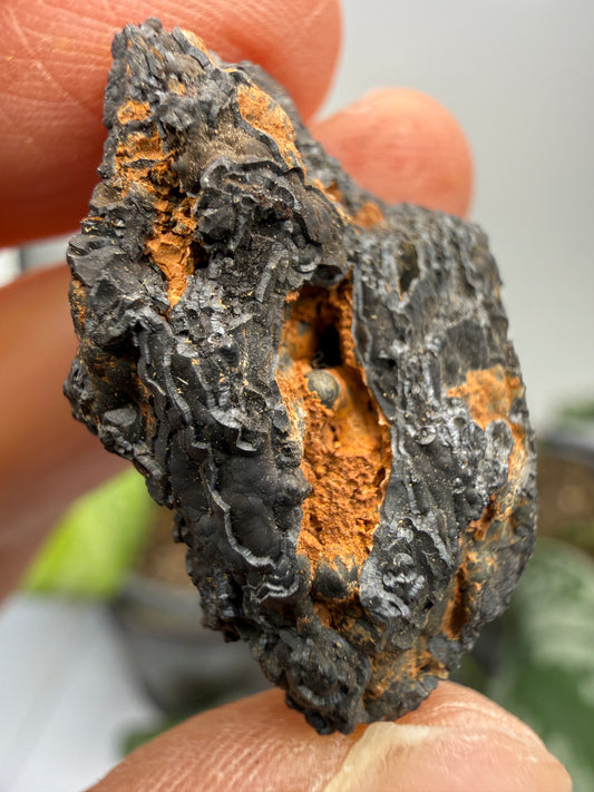 Psilomelane (Botryoidal Manganese Oxides)- Locality Unknown