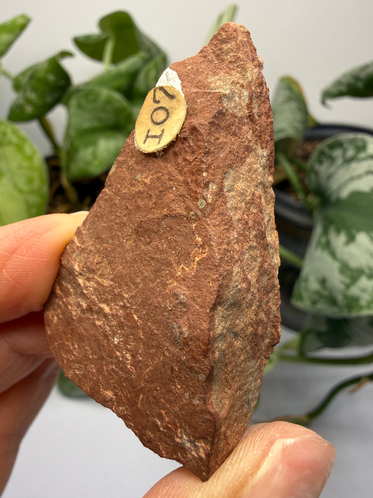Sandstone- Jack Pine River, Ontario, Canada