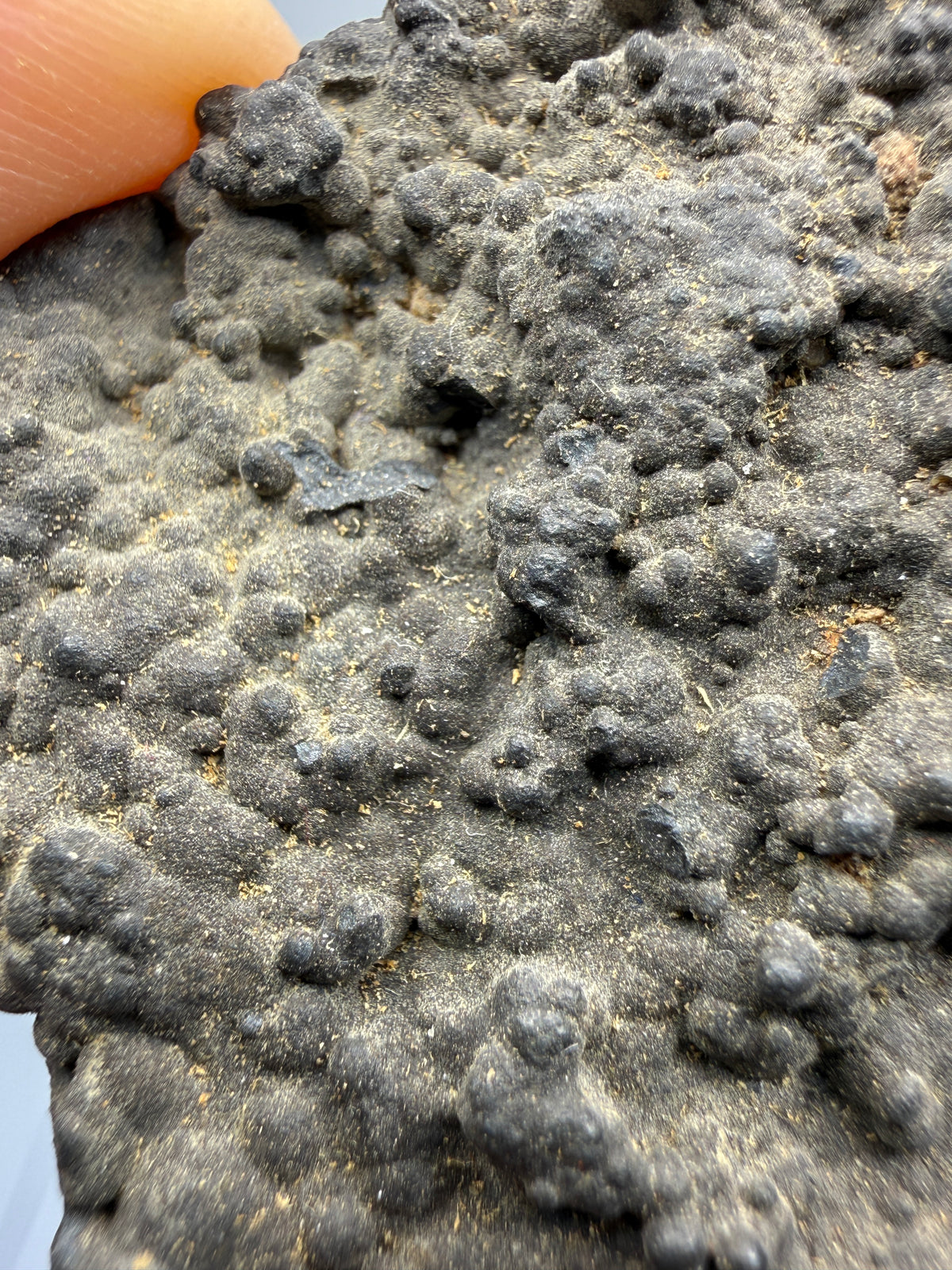 Hausmannite (Botryoidal)- Långban, Filipstad Municipality, Värmland County, Sweden