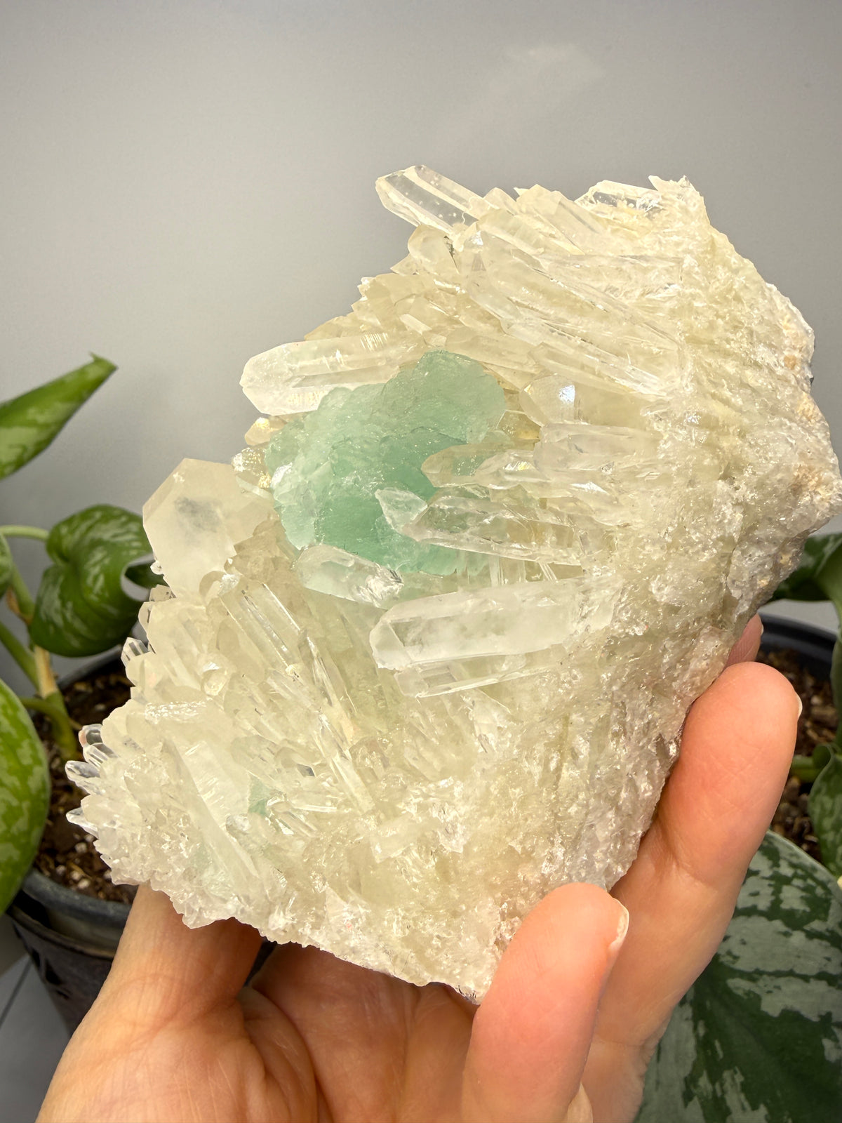 Fluorite on Quartz- Pasto Bueno Mining District, Pampas District, Pallasca Province, Áncash, Peru